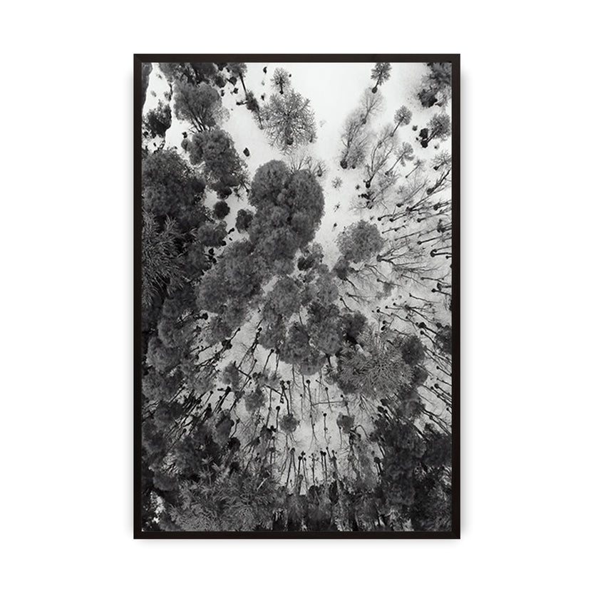 Blacktree