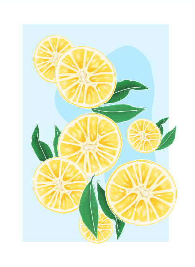 Ilustración 10