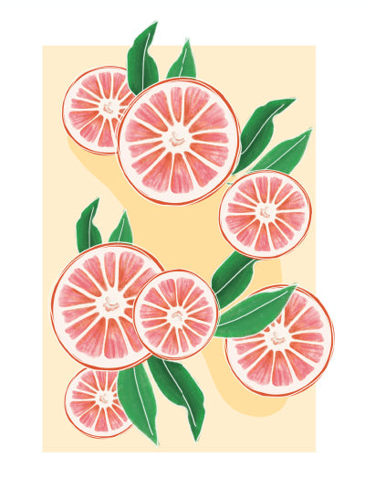Ilustración 09