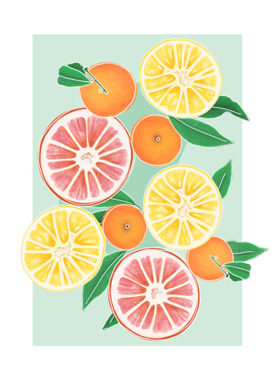 Ilustración 11
