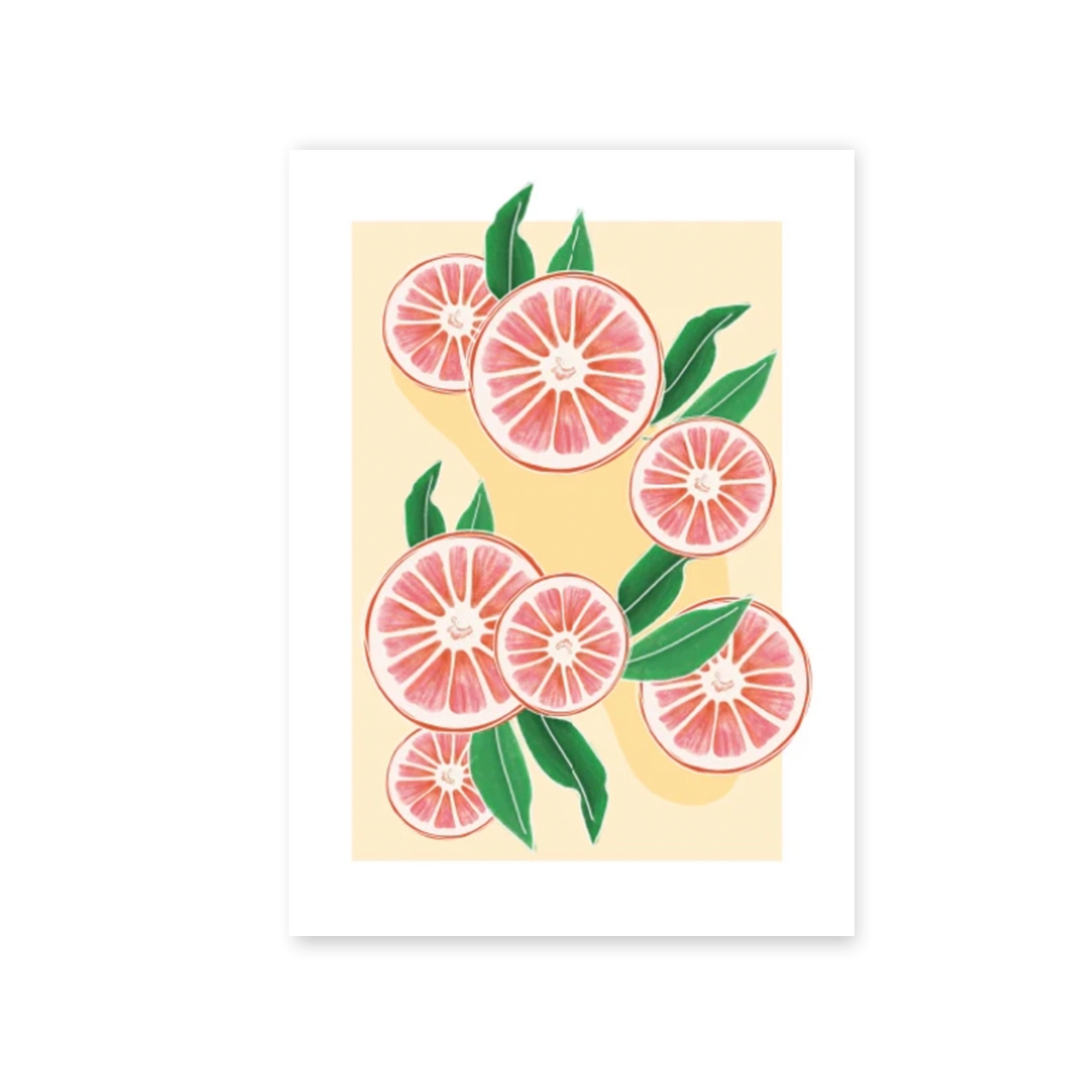 Ilustración 09