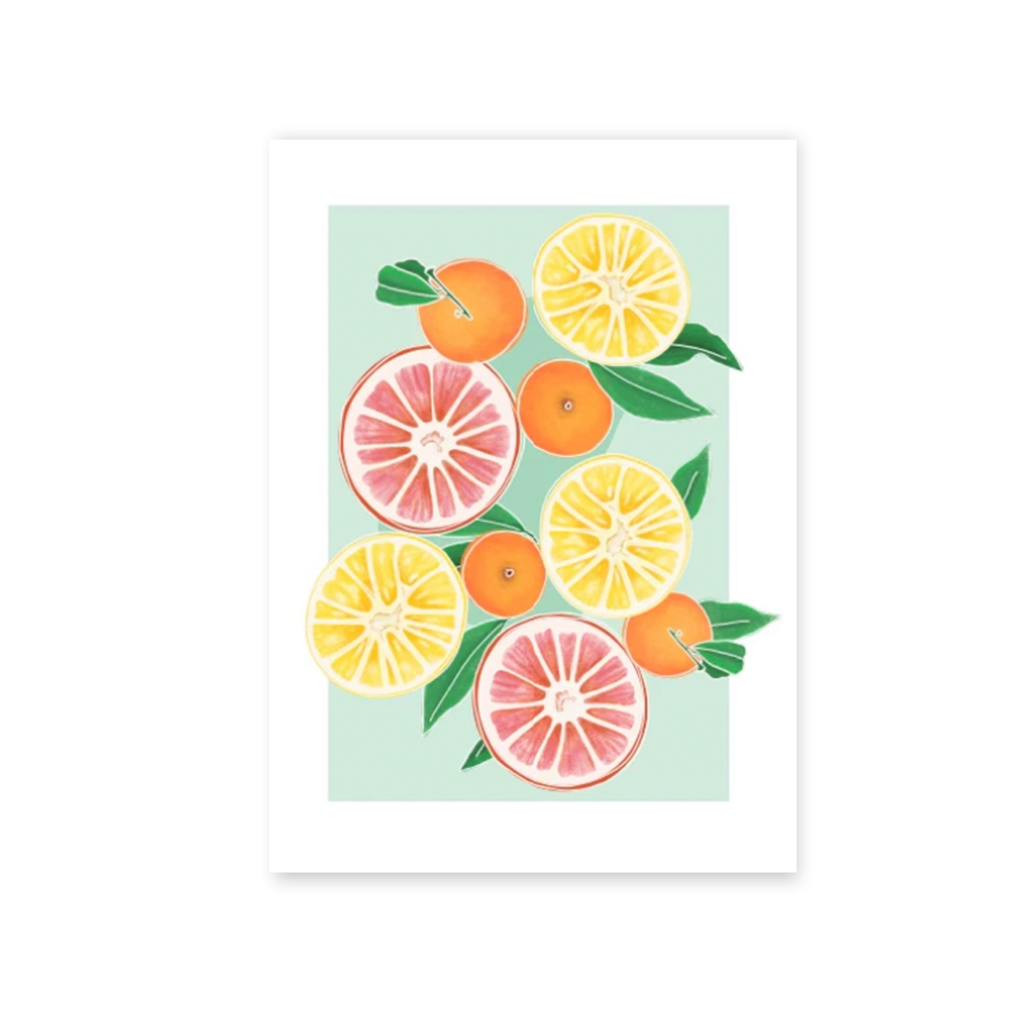 Ilustración 11