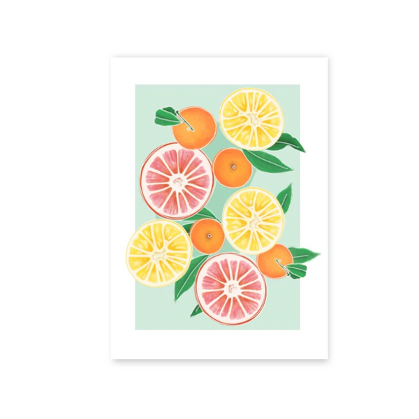 Ilustración 11