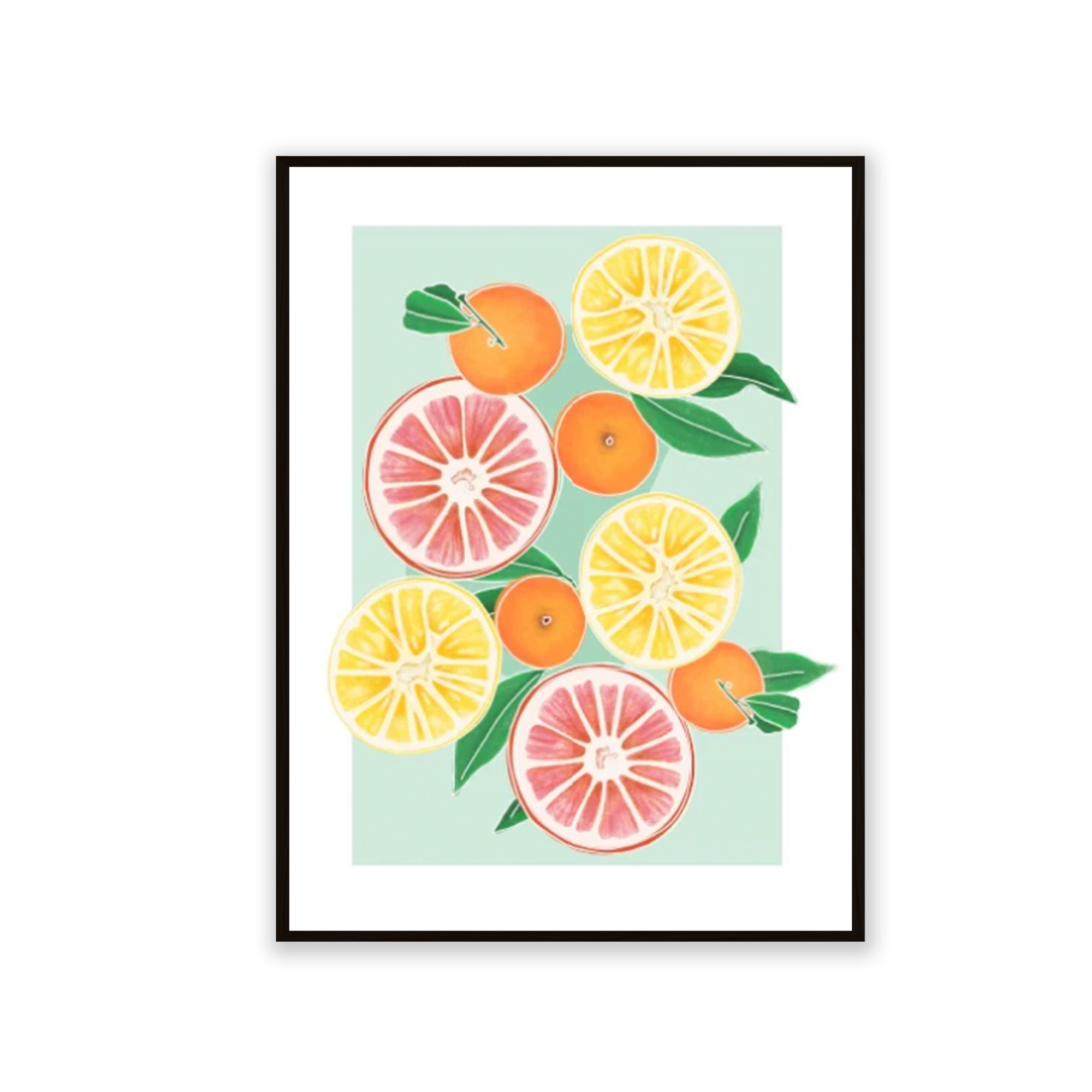 Ilustración 11