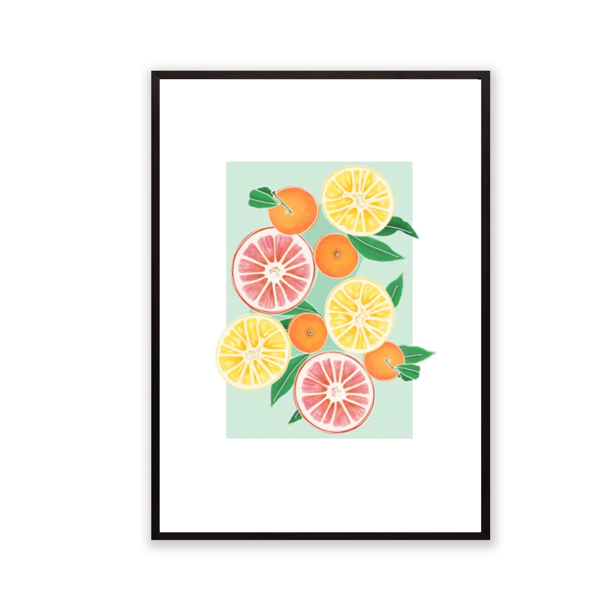 Ilustración 11