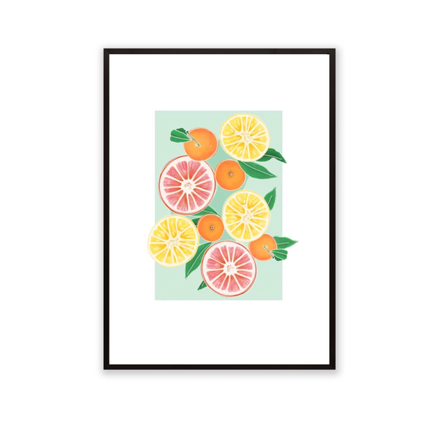 Ilustración 11