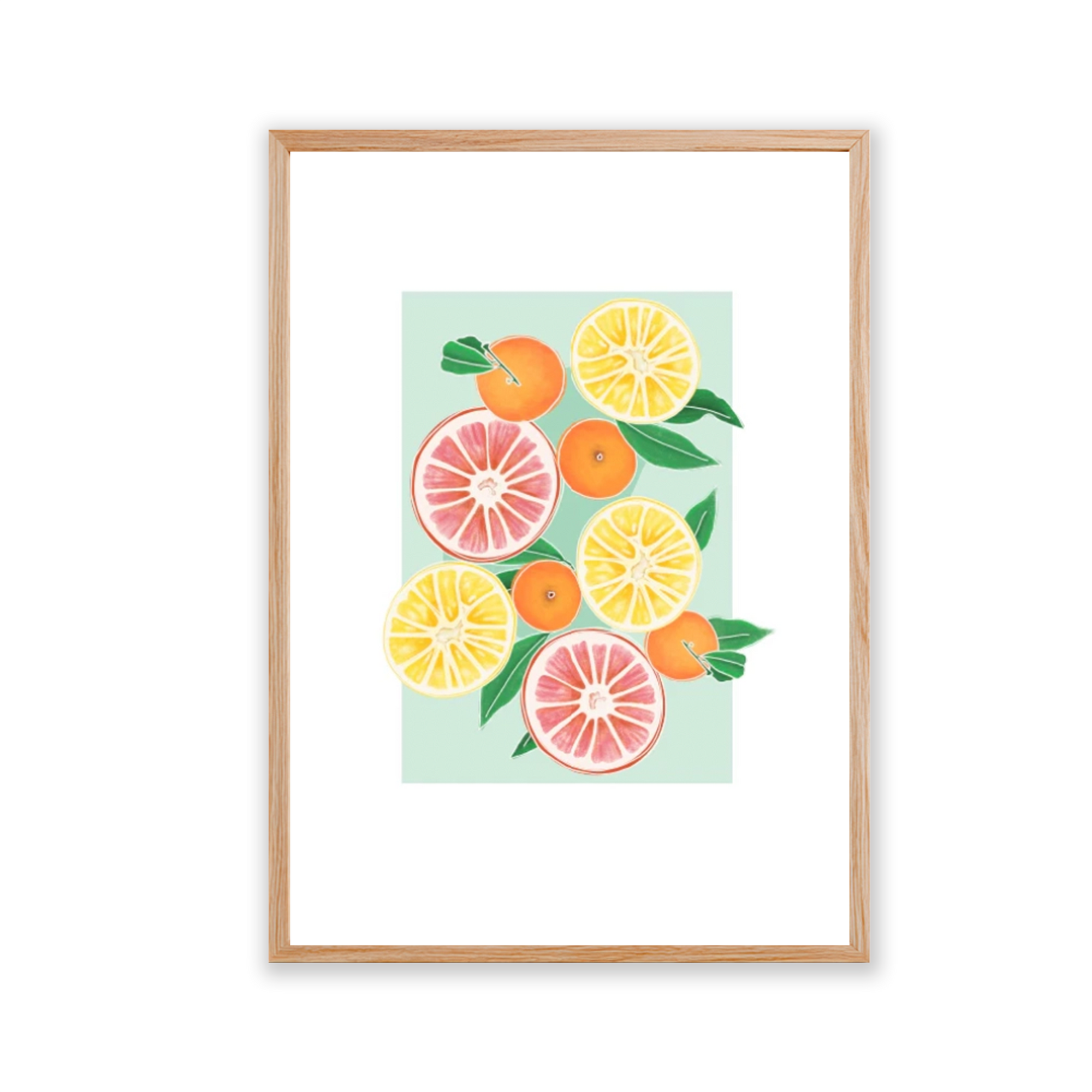 Ilustración 11