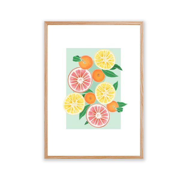 Ilustración 11