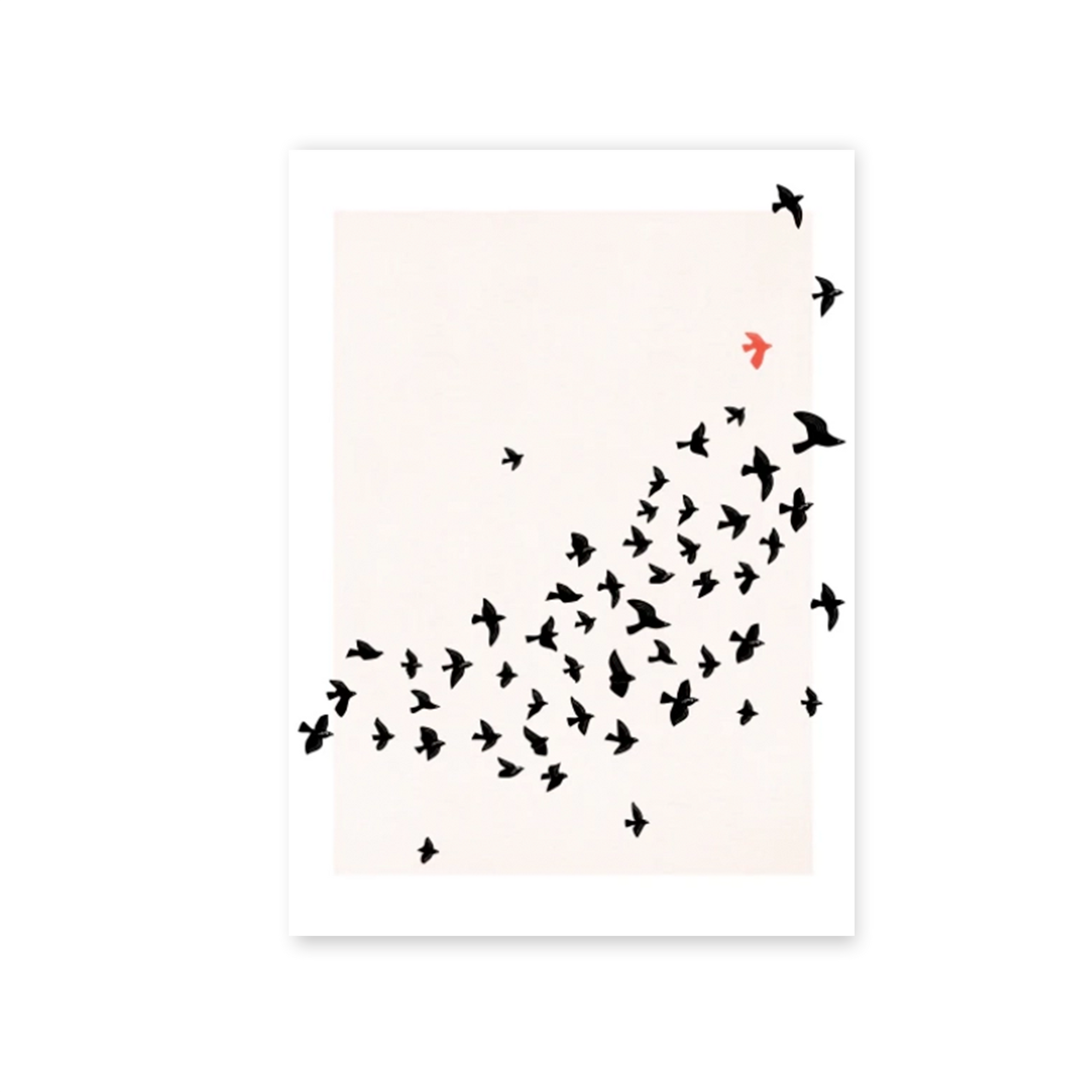 Ilustración 13