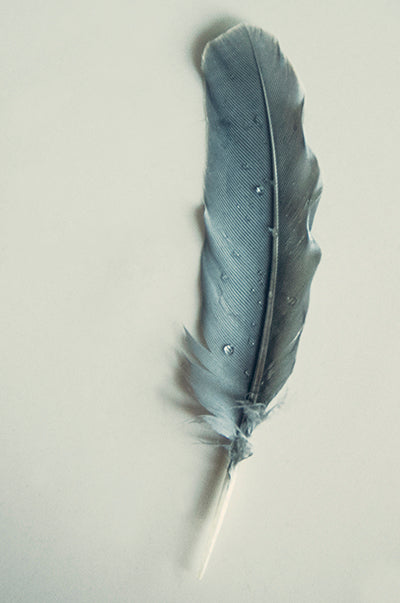 Pluma