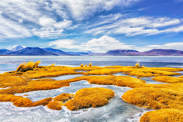 Salar de Aguas Calientes