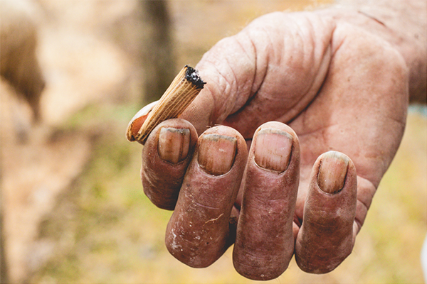 El cigarrillo